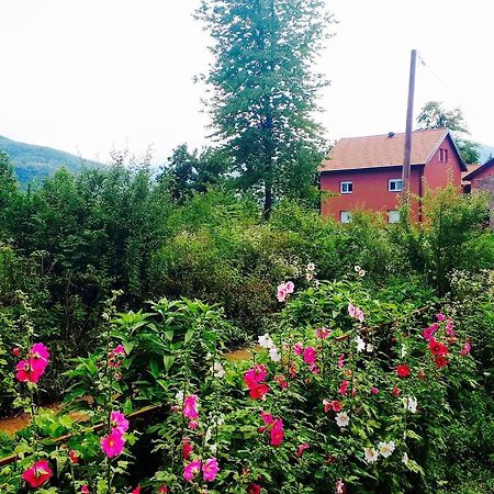 Peace Valley - Dolina Mira Janja Gora Kültér fotó