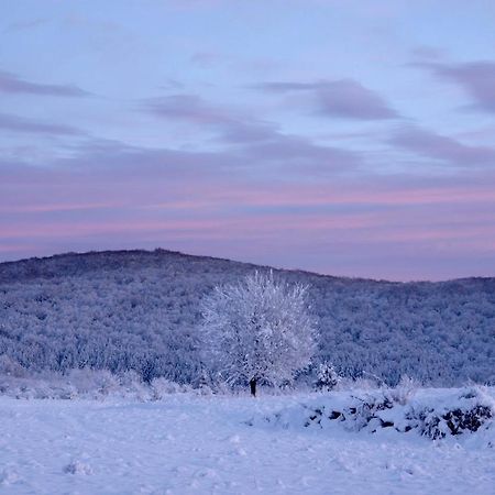 Peace Valley - Dolina Mira Janja Gora Kültér fotó