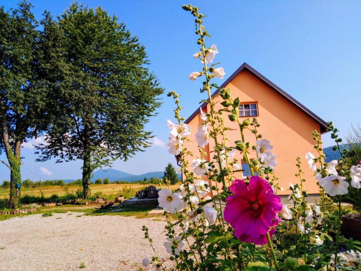 Peace Valley - Dolina Mira Janja Gora Kültér fotó