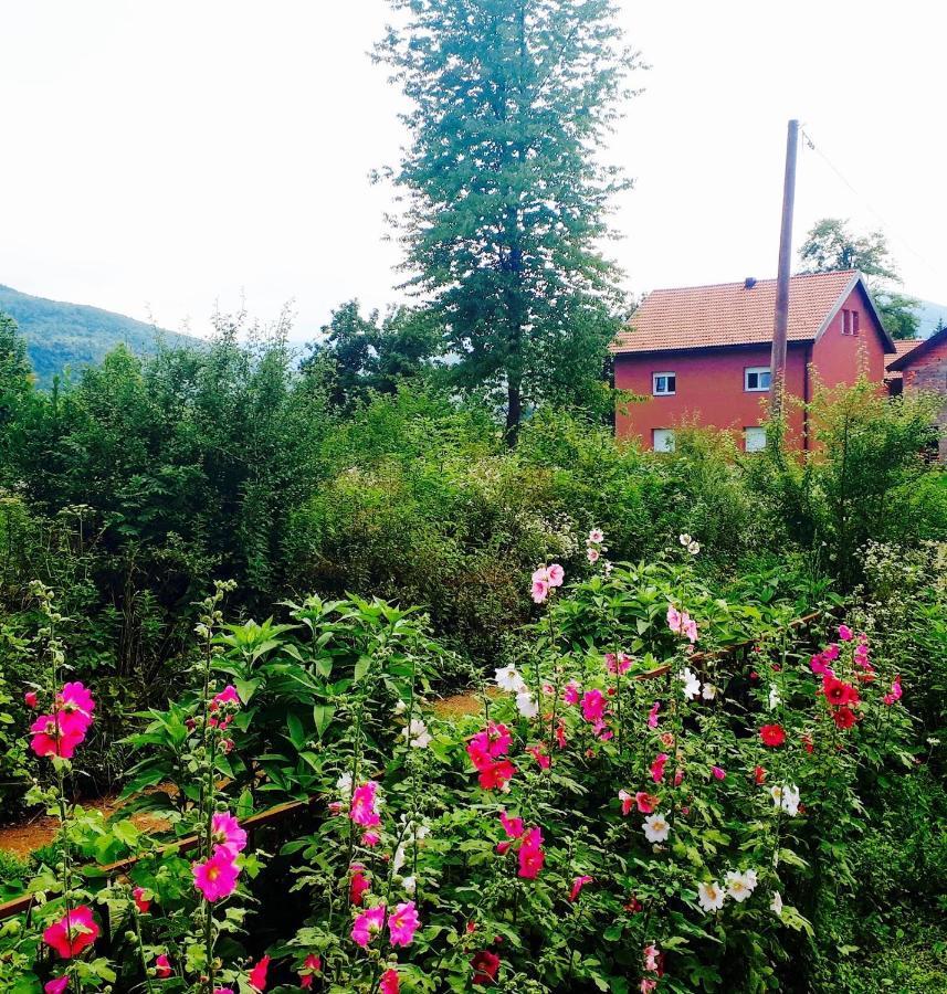 Peace Valley - Dolina Mira Janja Gora Kültér fotó