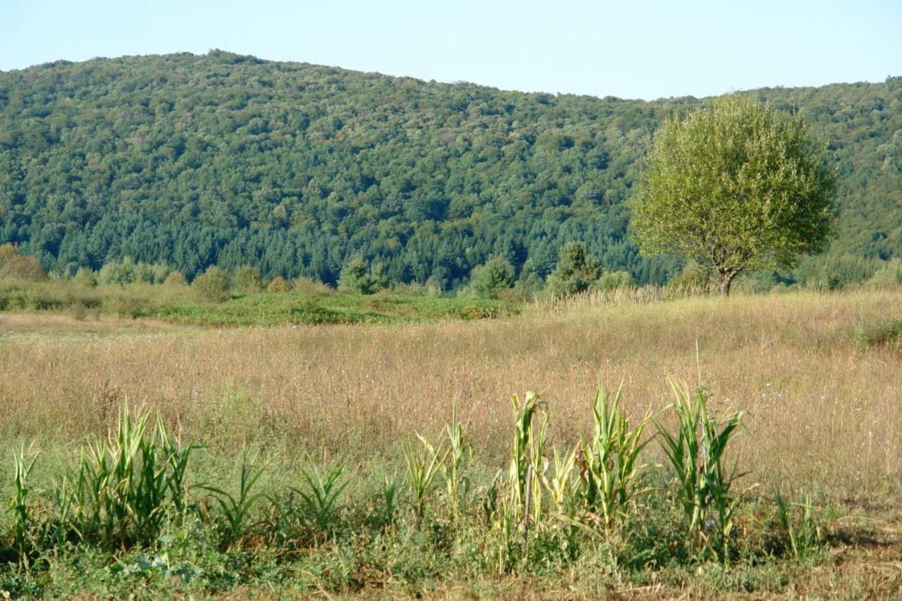 Peace Valley - Dolina Mira Janja Gora Kültér fotó
