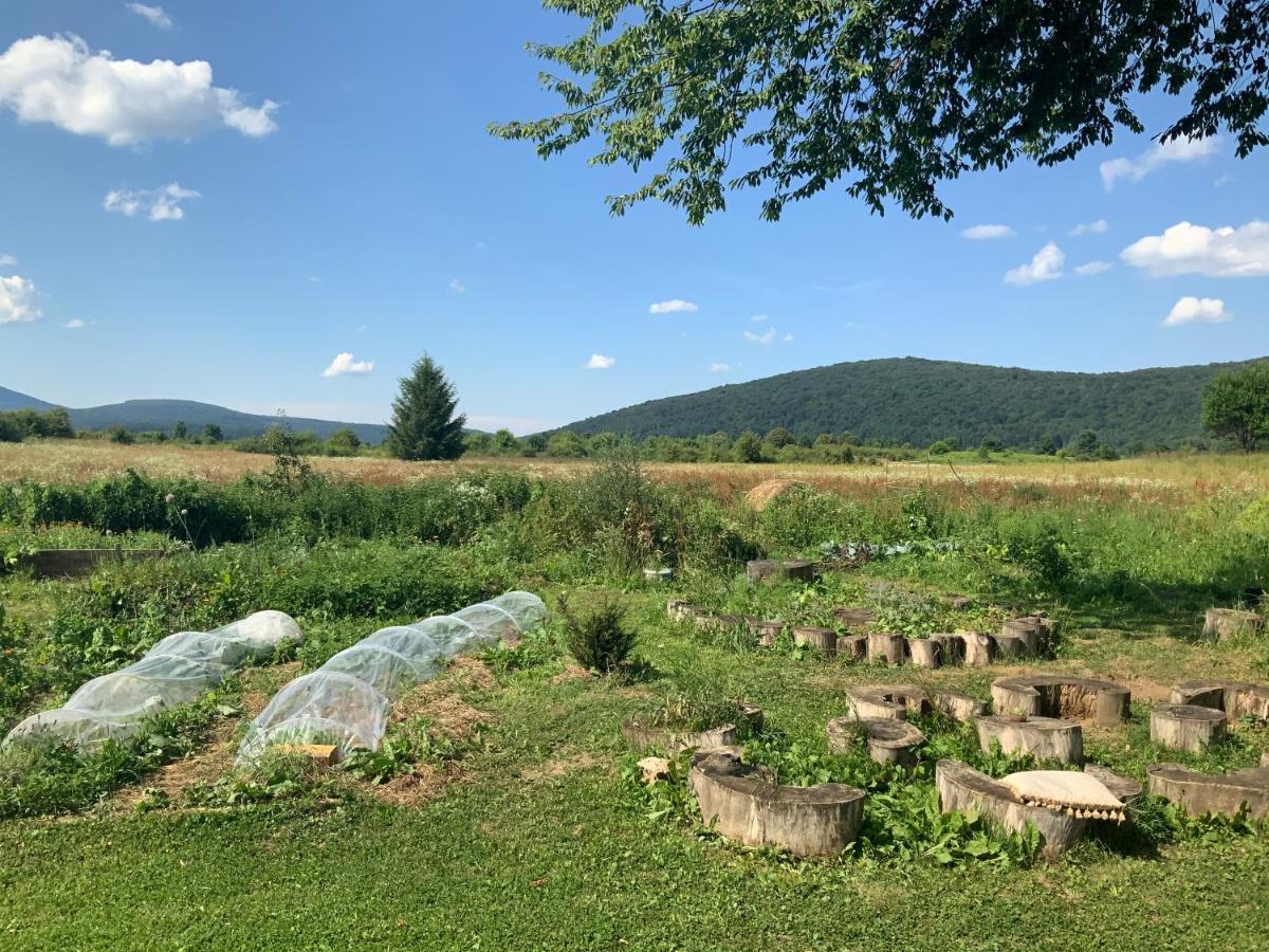 Peace Valley - Dolina Mira Janja Gora Kültér fotó