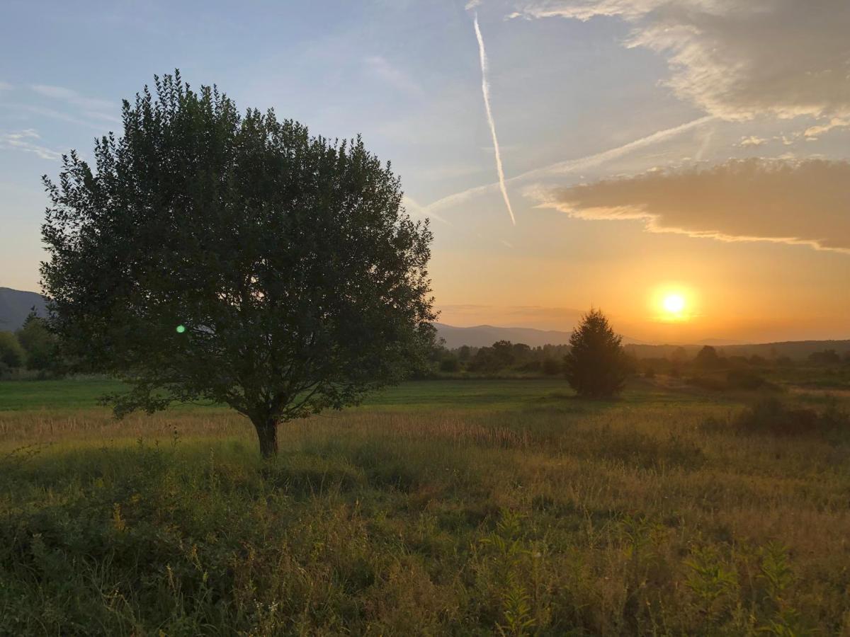 Peace Valley - Dolina Mira Janja Gora Kültér fotó