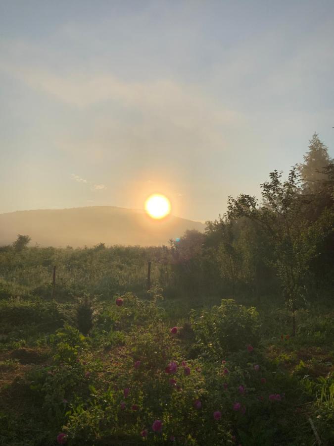 Peace Valley - Dolina Mira Janja Gora Kültér fotó
