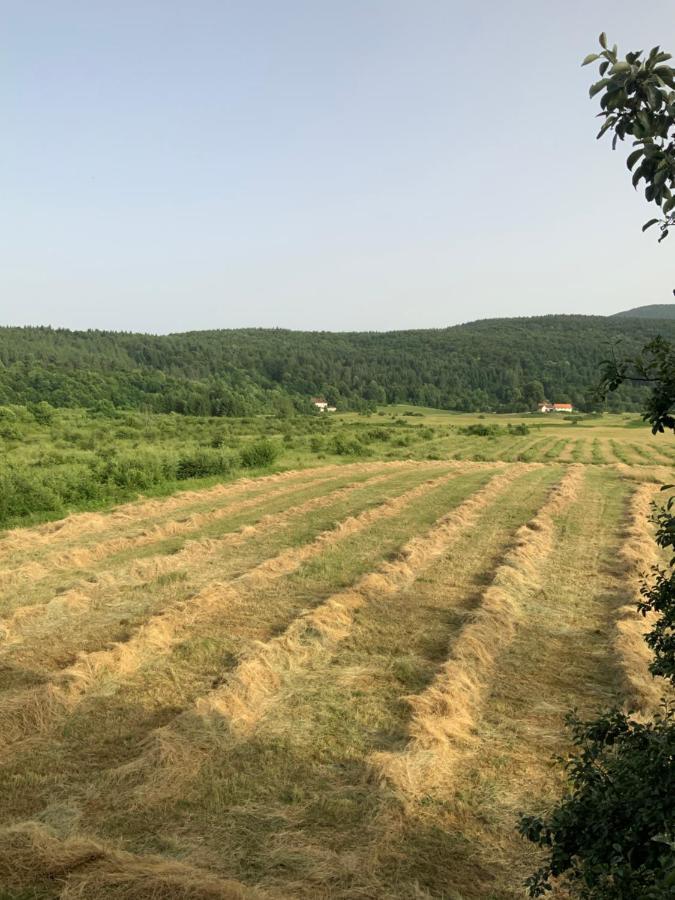 Peace Valley - Dolina Mira Janja Gora Kültér fotó
