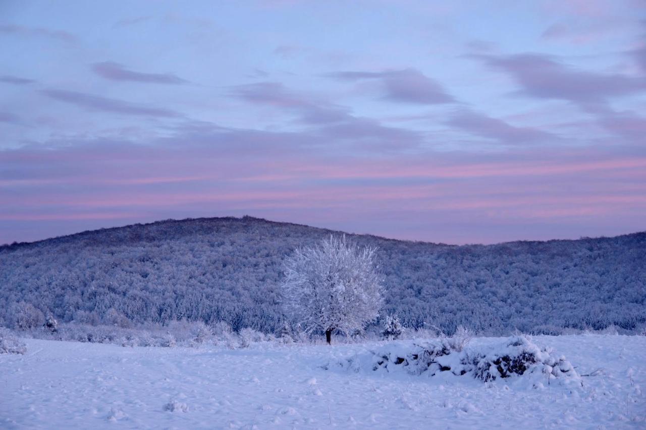 Peace Valley - Dolina Mira Janja Gora Kültér fotó